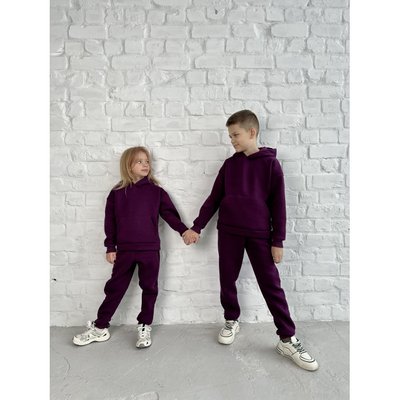 Теплий дитячий, підлітковий костюм з начосом Belm, фіолетовий, 28 (92-98 см) 1623-FL 1623-FL фото